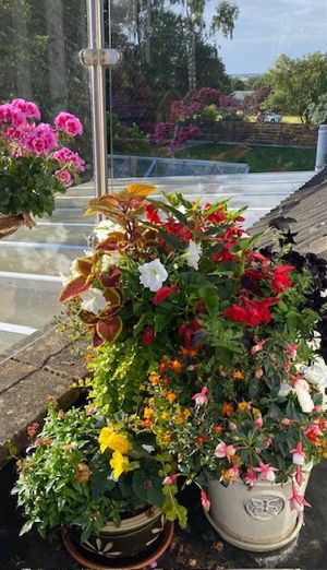 Balcony- click for photo gallery